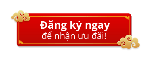 daotao